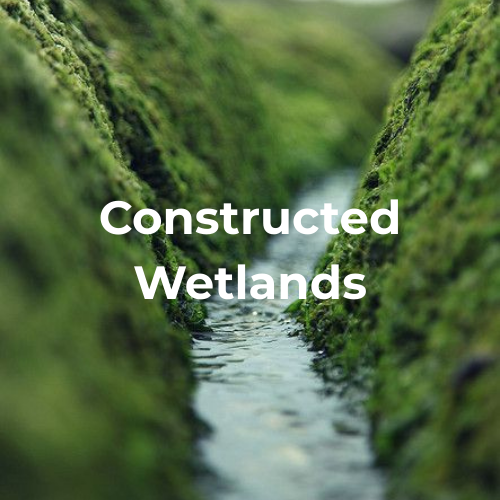 Constructed Wetlands