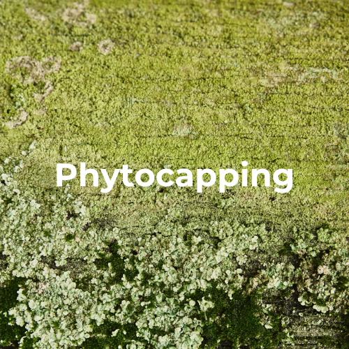 Phytocapping